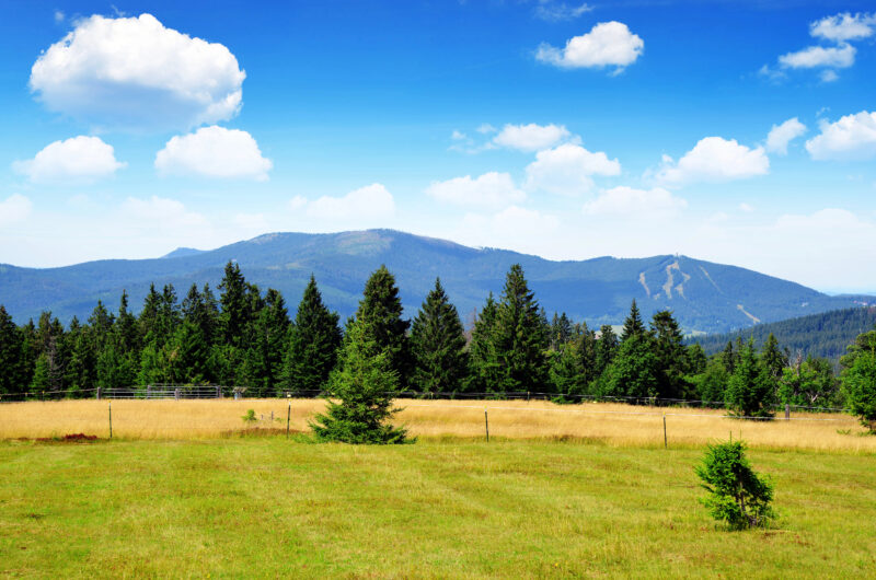 Šumava